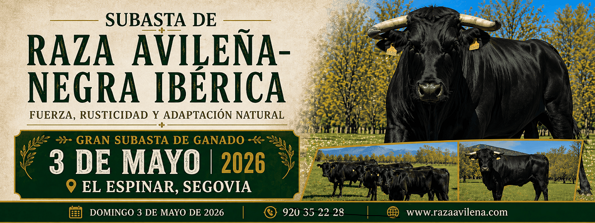 Ejemplo de banner de certamen ganadero