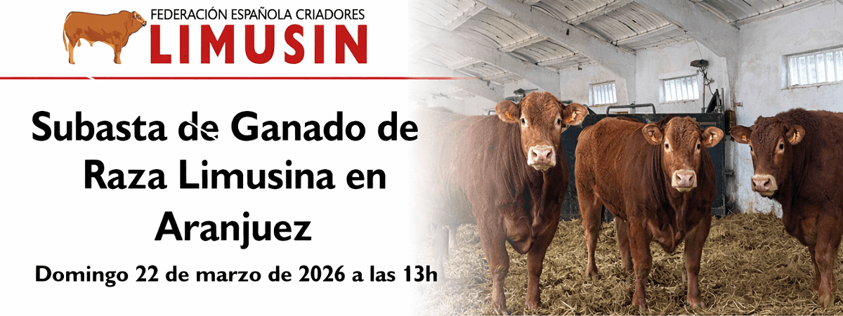 Ejemplo de banner publicitario en Ferias, Mercados y Mataderos
